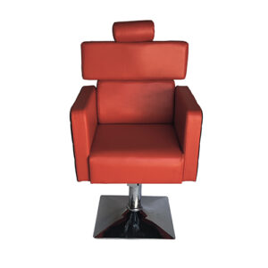 BAMS0105 Delux Salon Chair